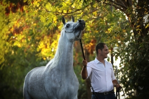 BAHIYA AA