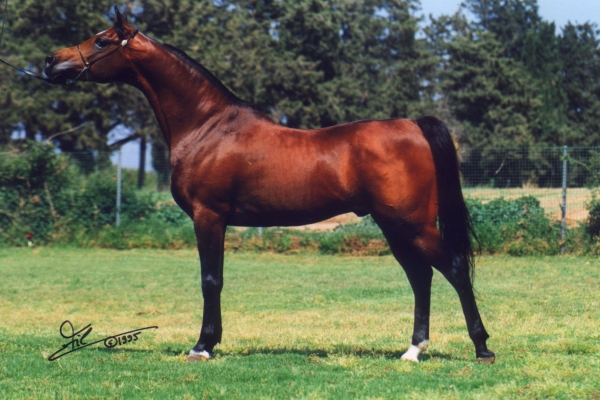 June 1992
