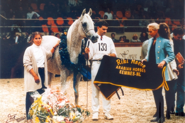November 1995