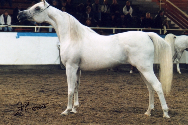 September 1996