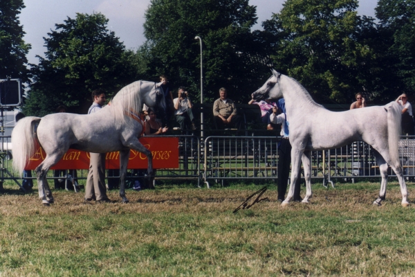 July 2001