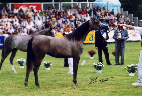 June 2002