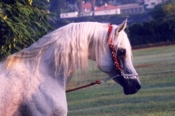 August 2002