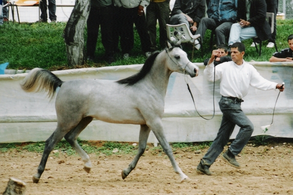April 2003