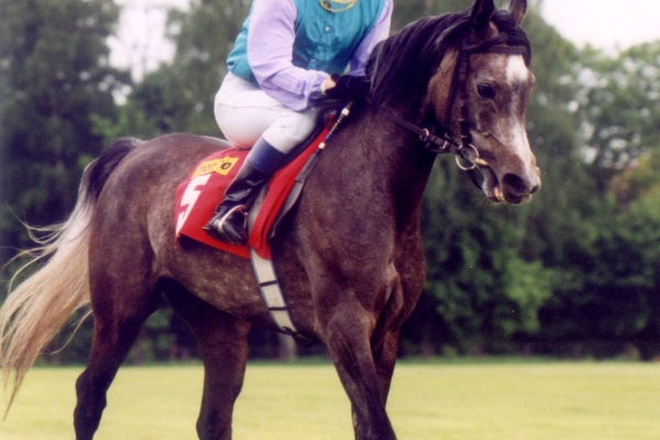 June 2003
