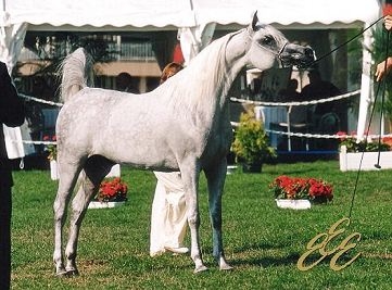 July 2003