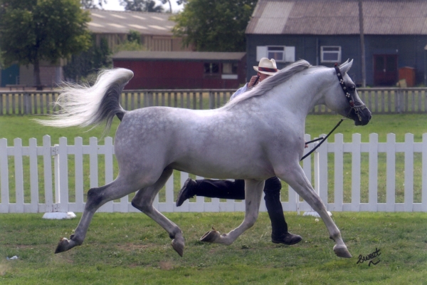 May 2004