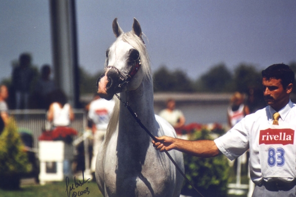 May 2004