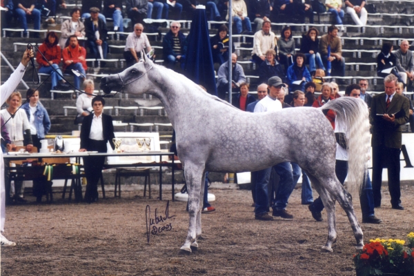 June 2004
