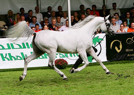 July 2004