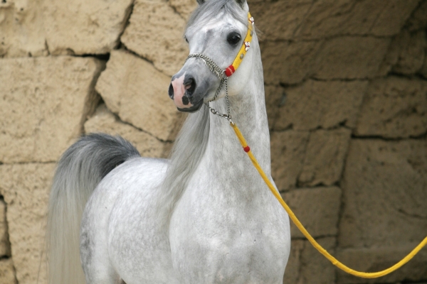 January 2005
