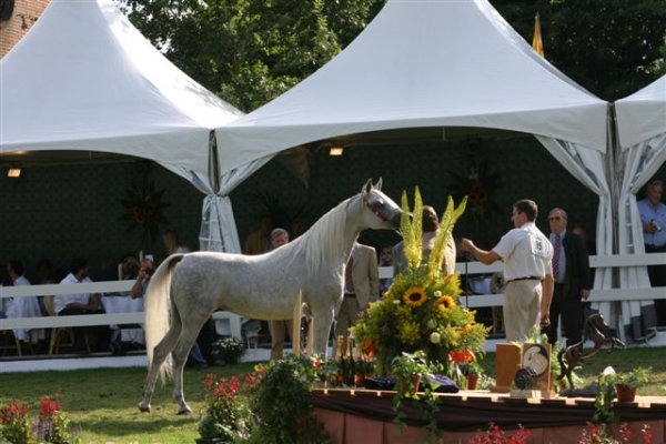 August 2004
