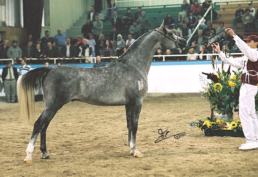 December 2004