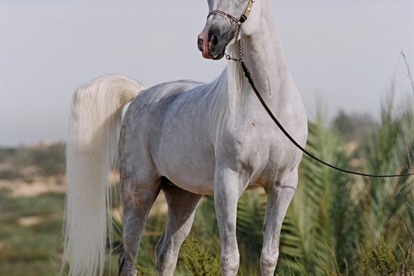 May 2006