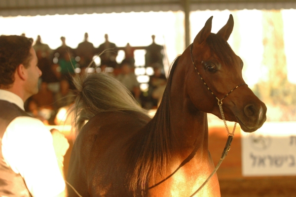 June 2006