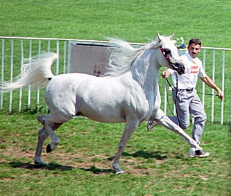 April 2005