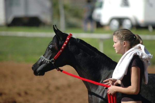July 2006