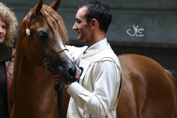 July 2006