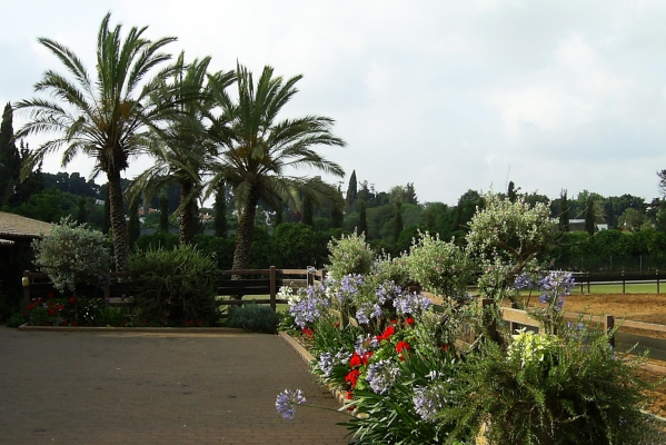 December 2005