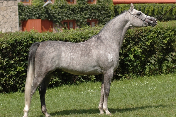 September 2006