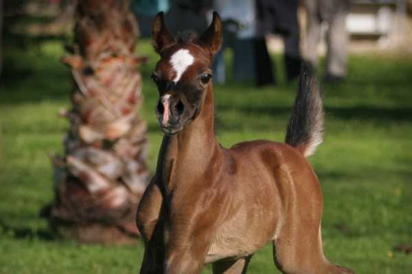 March 2007