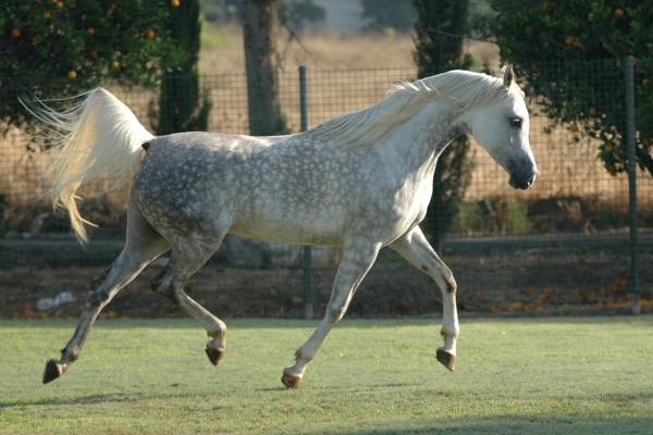 March 2007