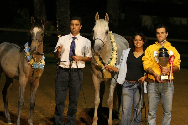 November 2006