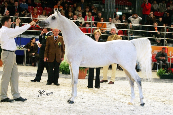 December 2006