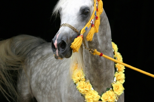 July 2007