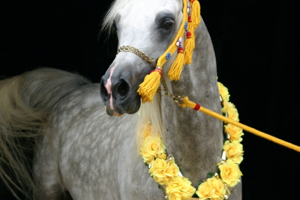 January 2008