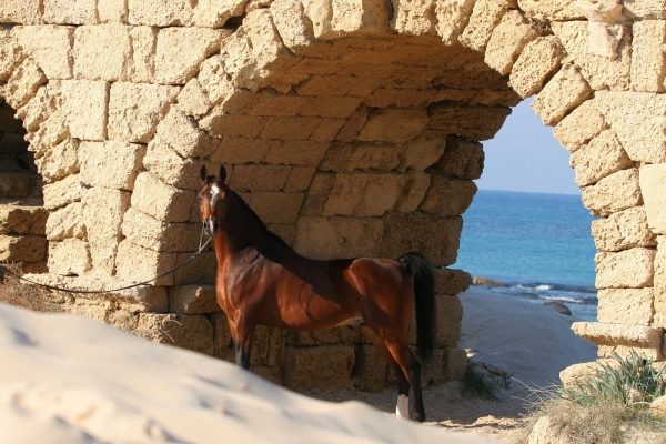 August 2007
