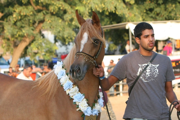 November 2008