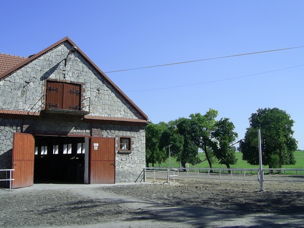 November 2008