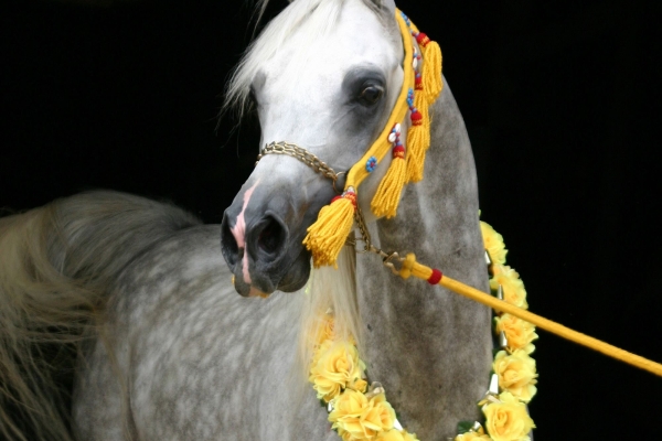 July 2009