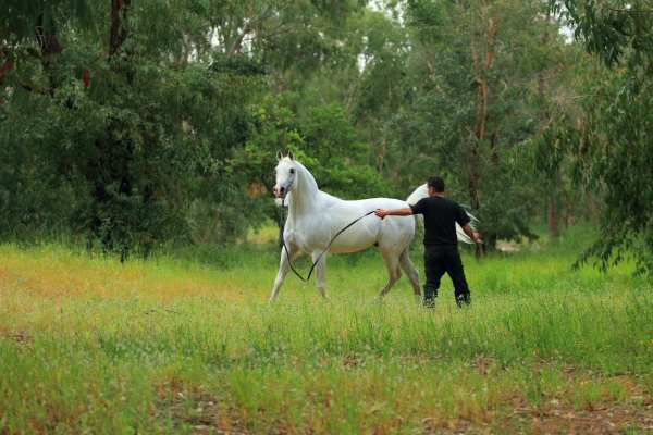 May 2012